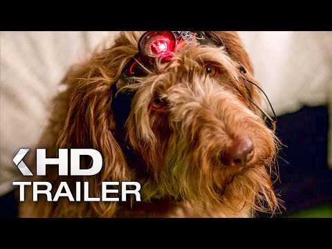 Think Like A Dog (2020) Trailer