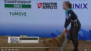 NAC 2023 20 Winner Perry DeWitt and Wit, Spectator View vs AKC.tv View