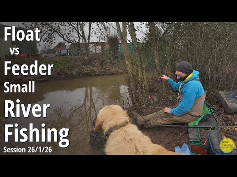 FLOAT vs FEEDER FISHING On A WINTER SMALL RIVER - Throckmorton Angling Club - 26/1/26 (Video 623)