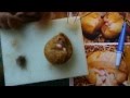 Needle Felting A Dormouse By Sophie Buckley Making Needle Felted Animals