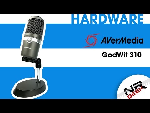 Avermedia GodWit 310 - Hardware