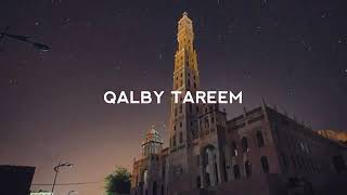 Download lagu Kota tarim ( kota seribu wali) mp3