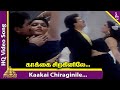 Kaakai Chiraginile Song Purusha Lakshanam Tamil Movie Jayaram Kushboo Pyramid Music