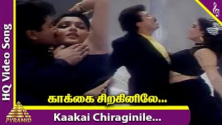 Kaakai Chiraginile Song  Purusha Lakshanam Tamil M