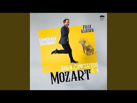 Concerto No. 4 in E-Flat Major, K.495: I. Allegro Maestoso