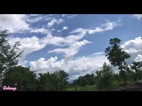 Dekhera Timilai Herera Timilai Nature love Cover