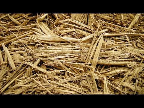 Glina lekka [Cohabitat Webinar]