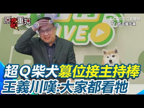 【#原音重現】憨川吃醋：大家都看牠！超Ｑ柴犬「大大」篡位接主持棒 互動冷讓王義川受挫「我們感情沒有很好」見網友頻誇狗狗嘆：我今天講的都沒人要聽｜三立新聞網 SETN.com