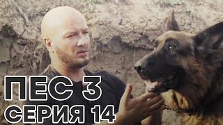 Сериал ПЕС - все серии - 3 сезон - 14 серия - смотреть онлайн