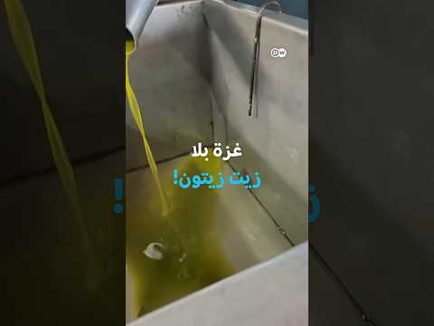 مليار دولار لعضوية "مجلس السلام".. هل يفتح ترامب الباب لنظامٍ عالميٍ موازٍ؟ 