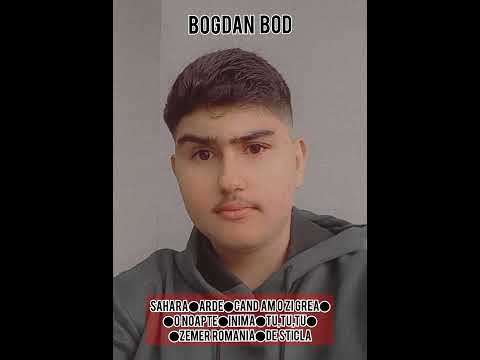 BogdanBod - Mixajul Meu