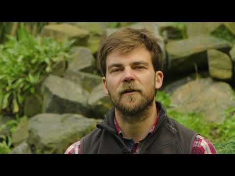 Buďte s námi u vzniku centra Grofova® dýchání ve Štramberku