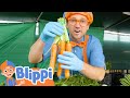 Blippi Visits Tanaka Farms Learning Healthy Eating Videos For Kids Educational Videos For Kids