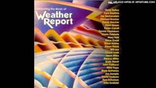Jason Miles - Badia (Weather Report cover)