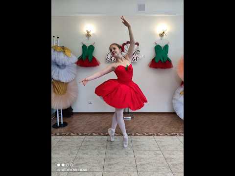 Rose P 3105 - video 2