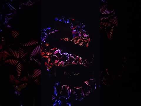 MoDem Seed Stage V. 1 Mutation