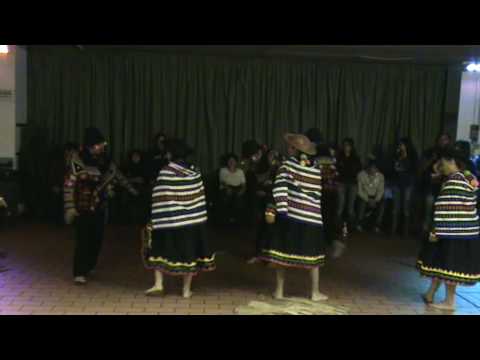 jovenes sin fronteras primera presentacion en el kimbara de firenze