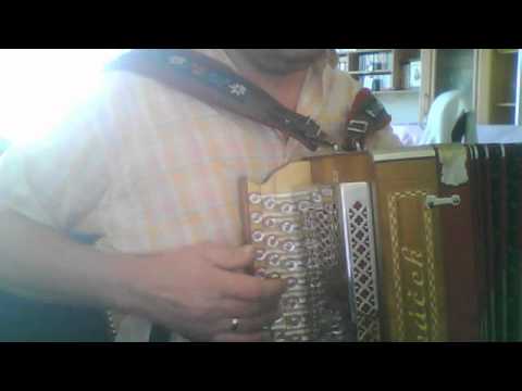 Wohl in da Wiedaschwing...