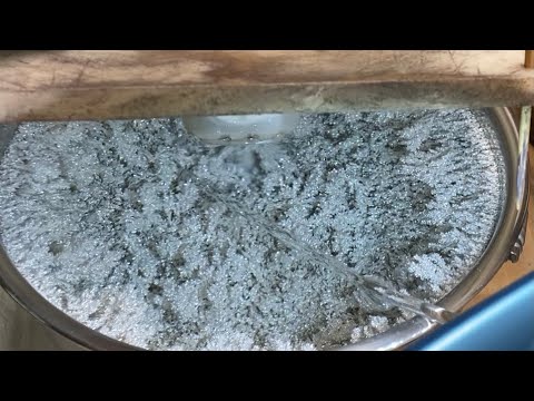 EP017 Silver Cell Day 9 Update Almost Ready for Harvest