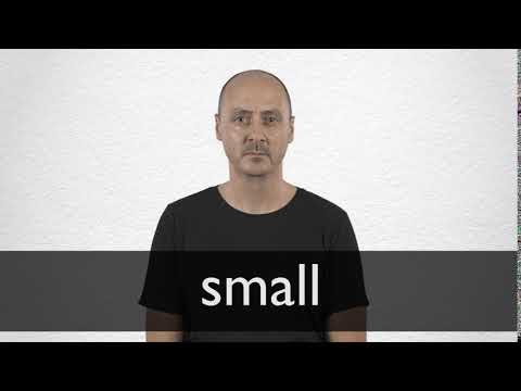  SMALL definition and meaning | Collins English Dictionary