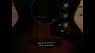 Video thumbnail for Takamine EG 450 by MurphyMario13