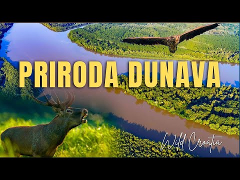 Dokumentarni film: Priroda Dunava u Hrvatskoj, Srbiji i Mađarskoj