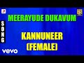 Kannuneer Female Malayalam Song Prithviraj Ambili Devi Renuka Menon