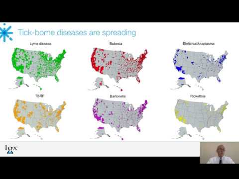 Overview of Tick-Borne Diseases and Diagnostic Tests Available