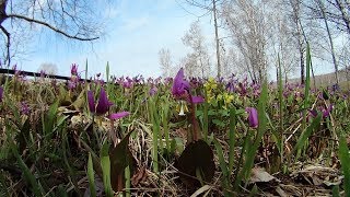 Томской рыбалка в село рыбалово