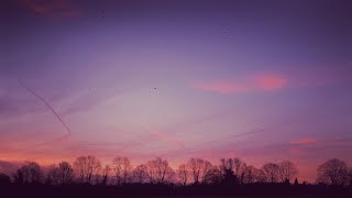 Sufjan Stevens - He Woke Me Up Again (Live in Grand Rapids, Michigan, 2004)