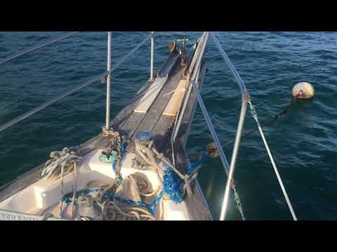 Island Packet 38  - Boatshed - Boat Ref#251757