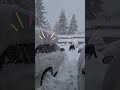 Snow Covered White Lake Tahoe Shorts