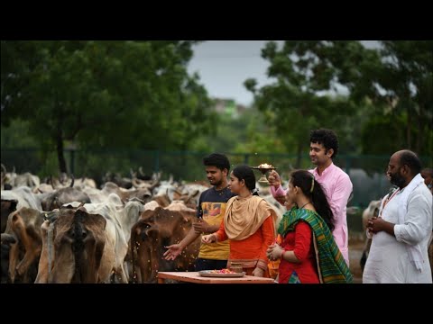 Daily Gau Aarti