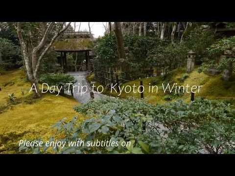 A DayTrip Kyoto In Winter Giozi TempleTakiguti Temple 祇王寺 滝口寺