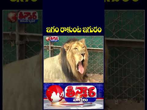 Hyderabad Zoo Installs Heaters to Protect Animals During Cold Wave | V6 Teenmaar