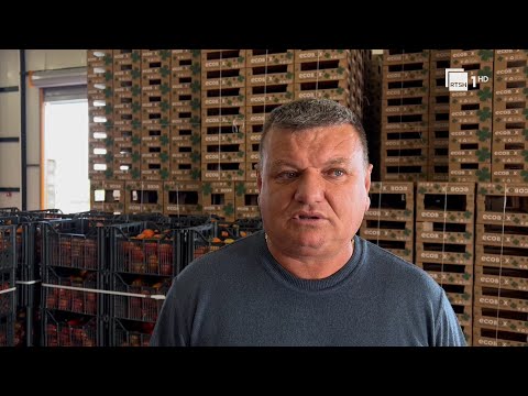 Dje emigrant sot ekpsportues, historia e fermerit që e nisi aktivitetin në 1000 metra katror tokë