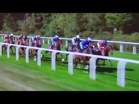 Royal Ascot 2018-Coronation Stakes-Alpha Centauri