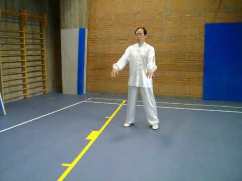 Video per tai chi perugia -   Maestro SHAO ZHONG .mov