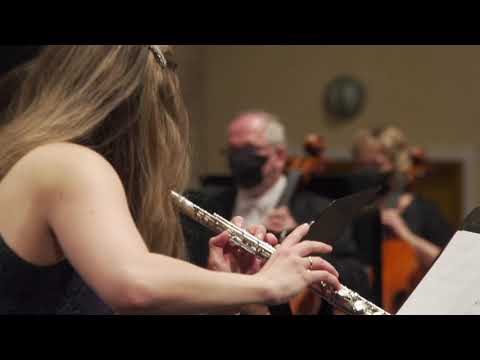 F. Doppler: Koncert pro dvě flétny d moll / Concerto for two flutes in D Minor