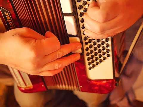 Akkordeon Weltmeister 96 Bass zu verkaufen, Top Zustand