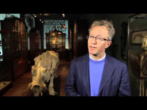 Leren in Science Centra - Onderzoekend Leren