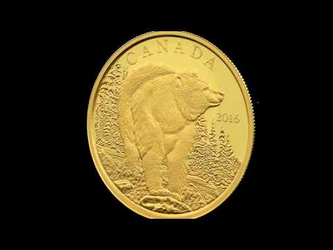 99.999% Pure Gold Coin – The Bold Black Bear