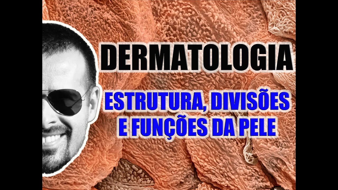 O Que é Anatomia Da Pele