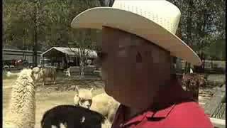 preview picture of video 'Alpaca Farm in Bishopville'