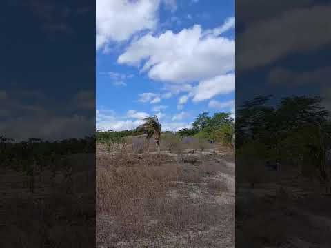 Sítio arisco de condessa São Paulo do Potengi RN em 27/12/2025 será que tá seco?