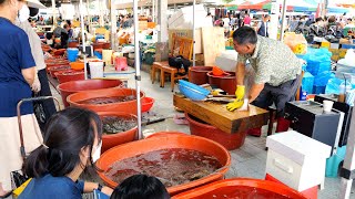 The Way How Asians Sell Fish! Fish Cutting Masters! / Tuna, King crab,