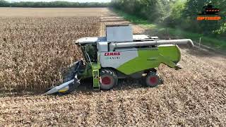 Heder de porumb Rotor OptiCorn 4-6-8-12rind de vânzare - Imagine 4 | Agroline RO Heder de porumb Rotor OptiCorn 4-6-8-12rind nou | Imagine 4 - Agroline