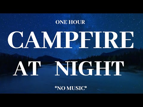 Campfire Sound & Loon Call {1 Hour}  **No Music**
