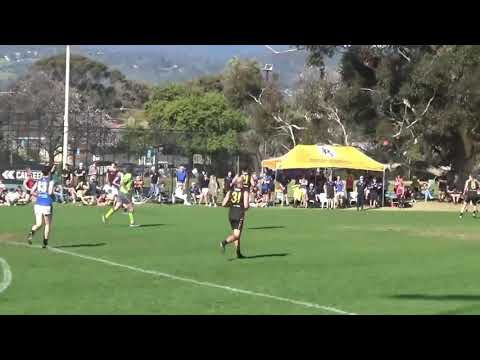 Unley Mercedes Jets v Goodwood Saints Highlights