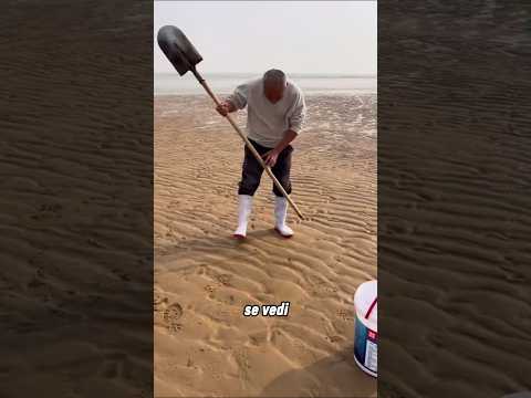 Creatura preziosa sulla riva del mare😲